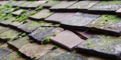 Ingrave roof repair costs